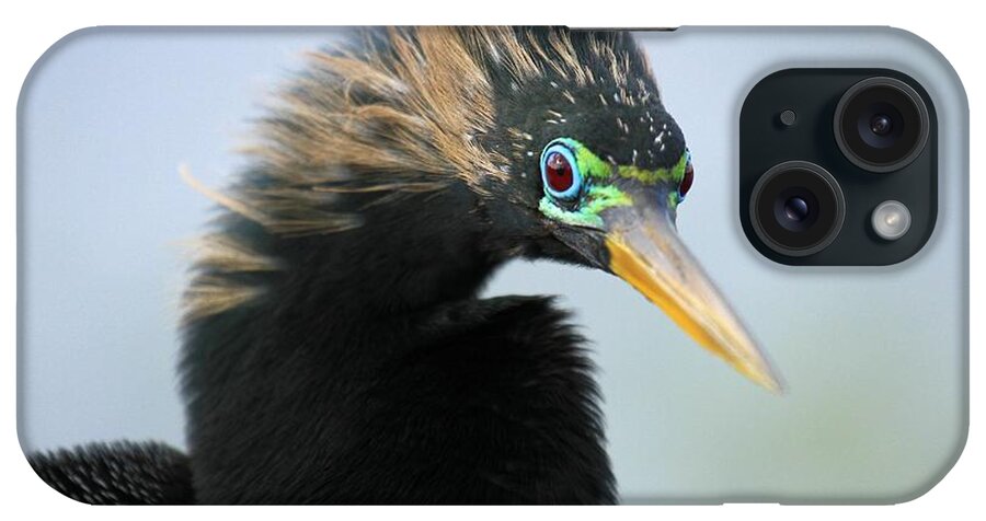 Anhinga iPhone Case featuring the photograph The Fonz by Adam Jewell
