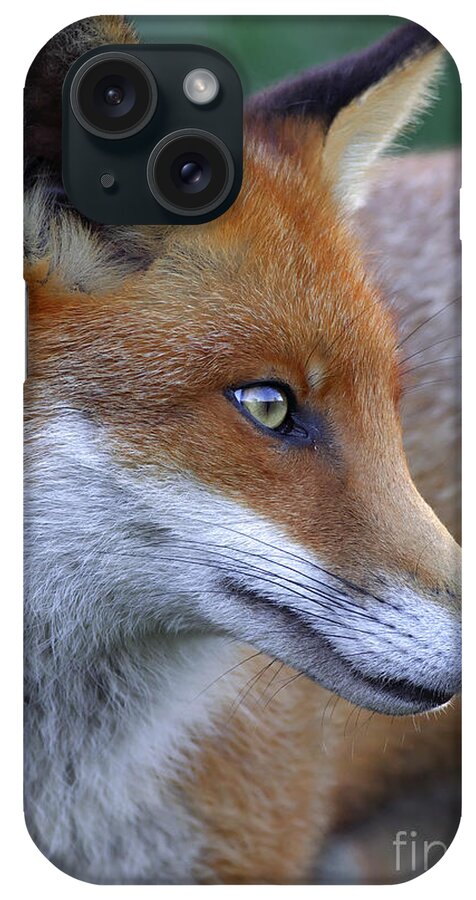 Fox iPhone Case featuring the photograph The Fox by Martyn Arnold