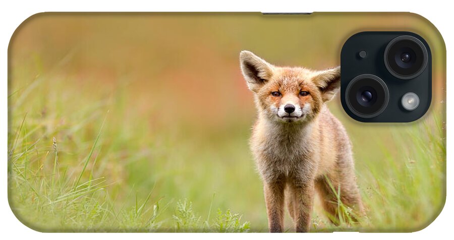 Camouflage iPhone Case featuring the photograph The Funny Fox Kit by Roeselien Raimond