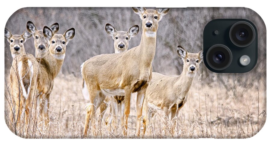 White Tail Deer iPhone Case featuring the photograph The Gang by Peg Runyan