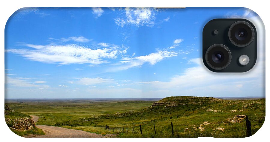 Grass iPhone Case featuring the photograph The Grasslands by Shane Bechler