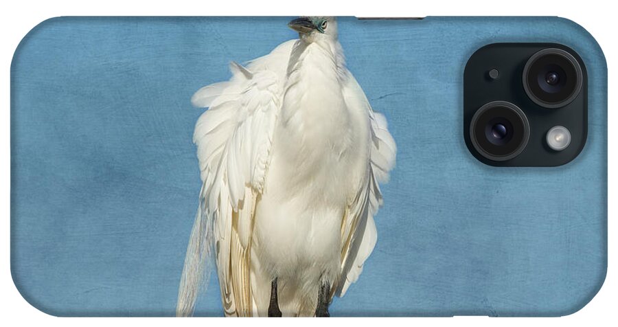 Egret iPhone Case featuring the photograph The Great One by Kim Hojnacki