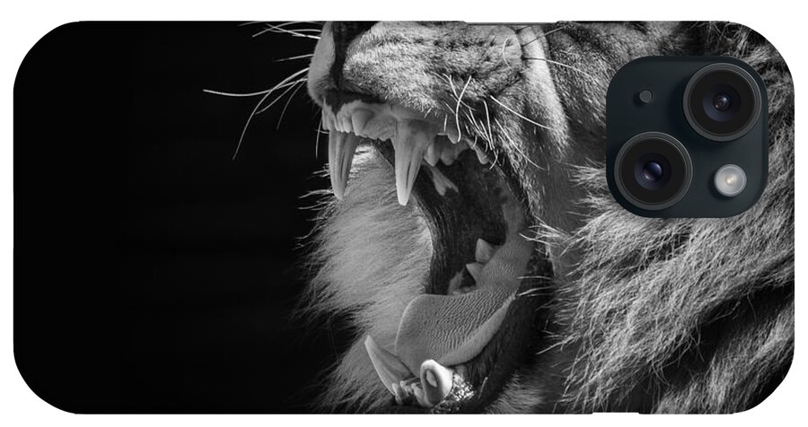 B&w Lion iPhone Case featuring the photograph The Growl by Ken Barrett