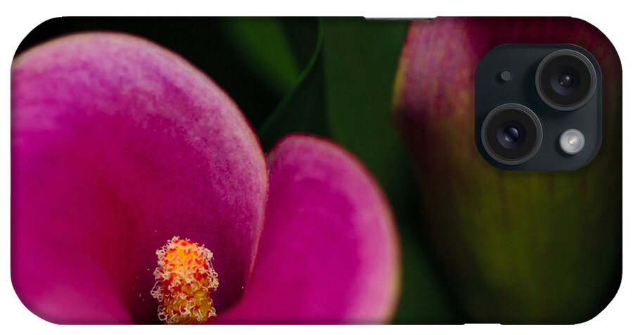 Calla iPhone Case featuring the photograph The Heart of the Lily by Christi Kraft