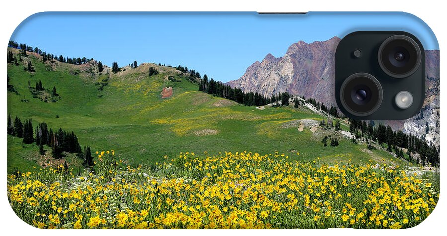 Albion Basin iPhone Case featuring the photograph The Hills are Alive by Marty Fancy