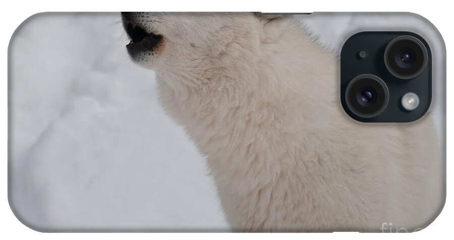 Arctic Wolf iPhone Case featuring the photograph The Howler by Bianca Nadeau