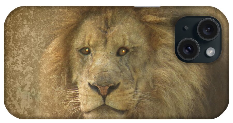 Wildlife iPhone Case featuring the photograph King of the Jungle by Dawn Gari