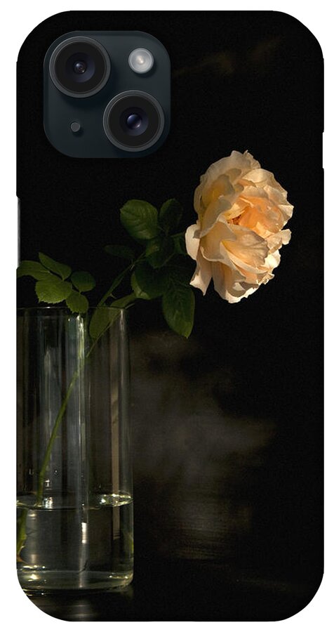 English Roses iPhone Case featuring the photograph The Last Rose Of Summer by Theresa Tahara