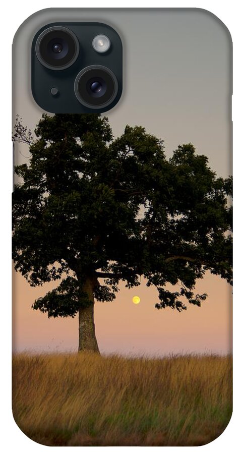 Blue Ridge Parkway iPhone Case featuring the photograph The Lone Tree at Doughton Park by John Harmon