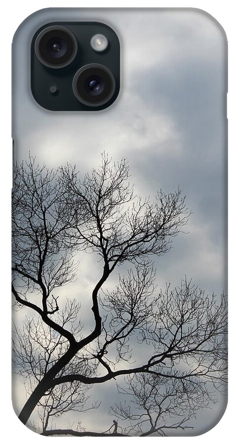 Trees iPhone Case featuring the photograph The Lonely Tree by The Art Of Marilyn Ridoutt-Greene