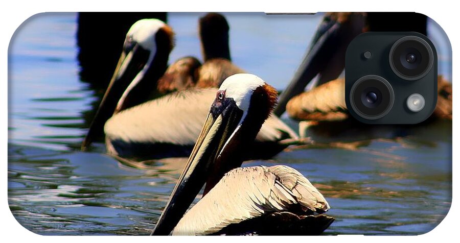 Pelican iPhone Case featuring the photograph The Lovely Pelican by Debra Forand