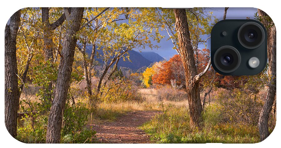 Forests iPhone Case featuring the photograph The Lure Of The Lonely Pathway by Tim Reaves