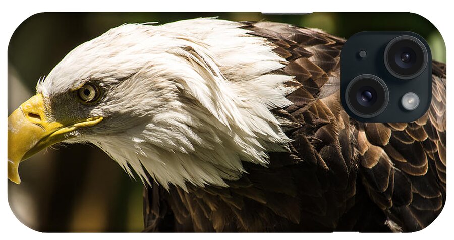Bald Eagle iPhone Case featuring the photograph The Majestic American Bald Eagle by Yeates Photography