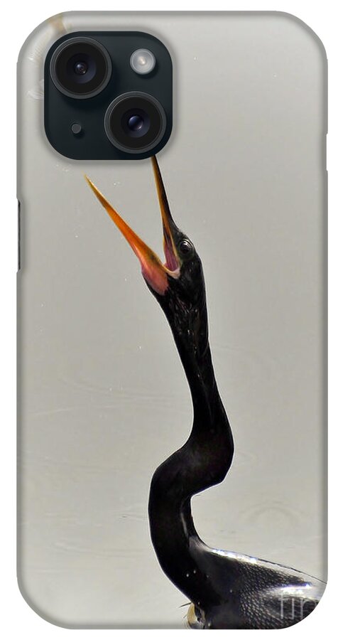 Anhinga iPhone Case featuring the photograph The Master Fisher by Kathy Baccari