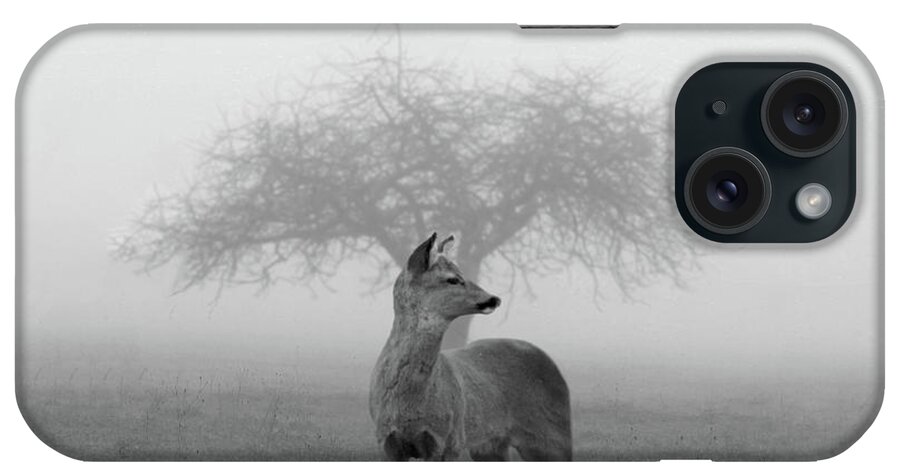 Animal Themes iPhone Case featuring the photograph The Mist by Nicolas Piñera Martinez