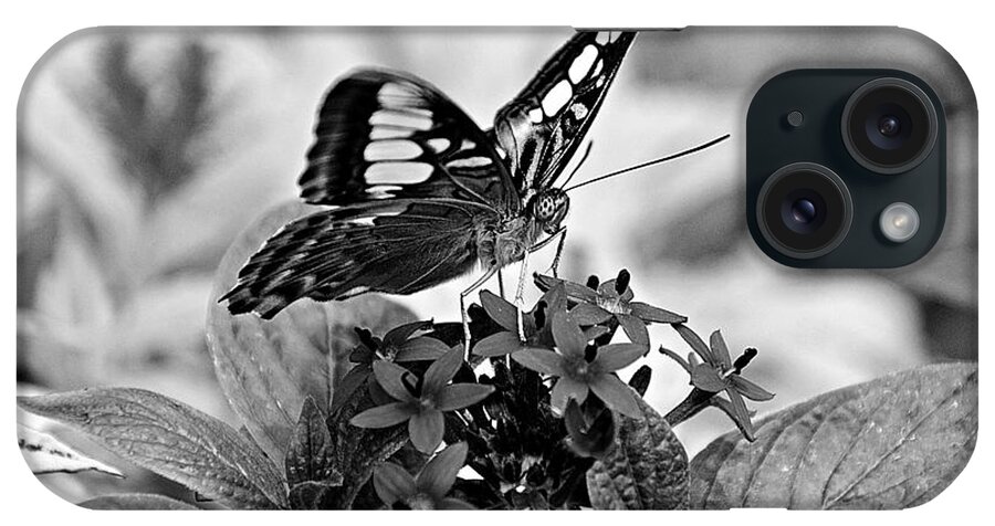 Butterfly iPhone Case featuring the photograph The Nature of Black and White by David Earl Johnson