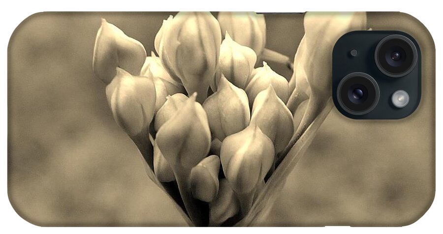 Flowers iPhone Case featuring the photograph The Offering by Bob Geary
