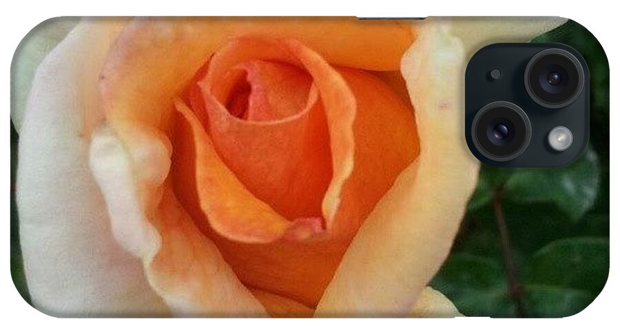 iPhone Case featuring the photograph The Orange Rose At My Nana's House ♥ by Andrea Nicole Meza