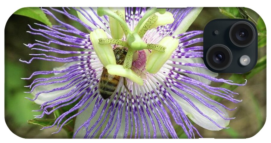 Passion Flower iPhone Case featuring the photograph The Passion and The Bee by Cleaster Cotton