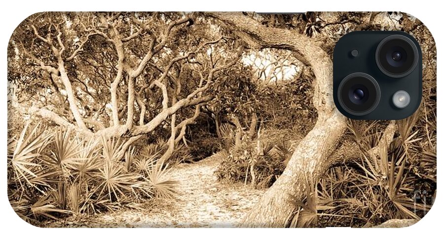 Grayton Beach State Park iPhone Case featuring the photograph The Path Awaits by John Harmon
