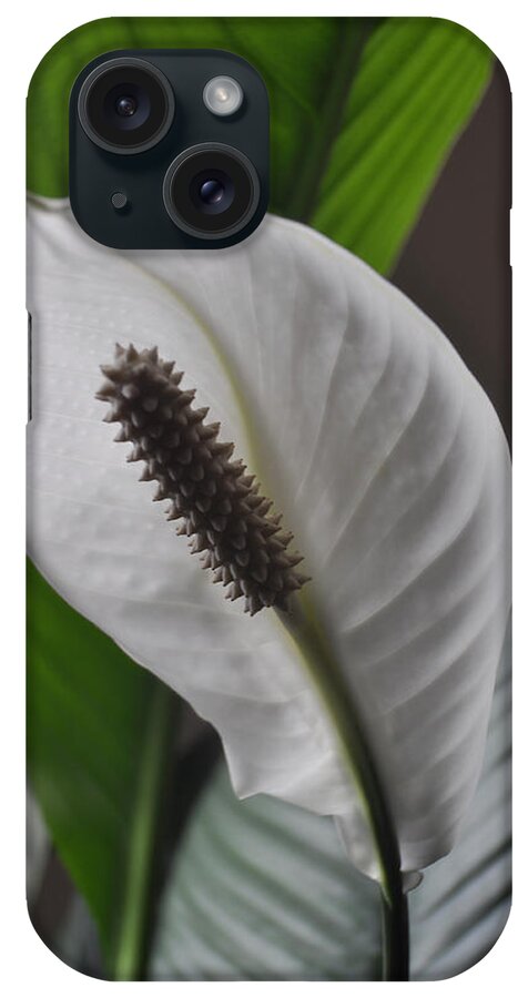 Peace Lily iPhone Case featuring the photograph The Peace Lily by Verana Stark
