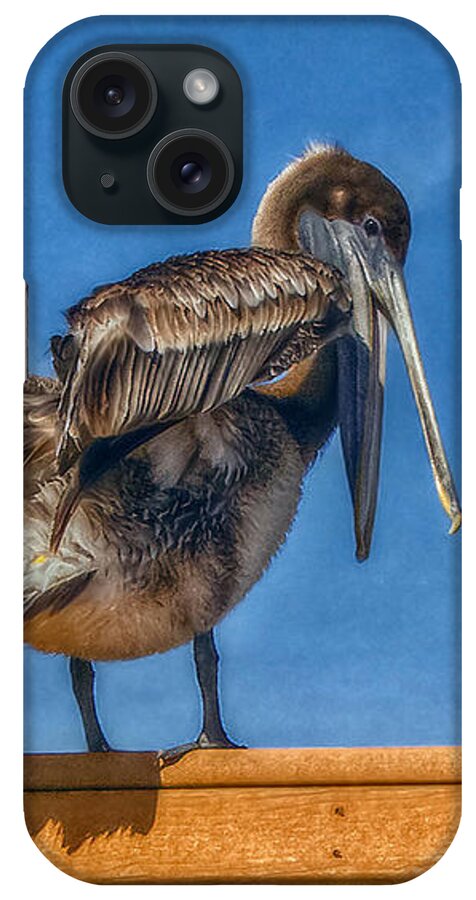 Pelican iPhone Case featuring the photograph The Pelican by Hanny Heim
