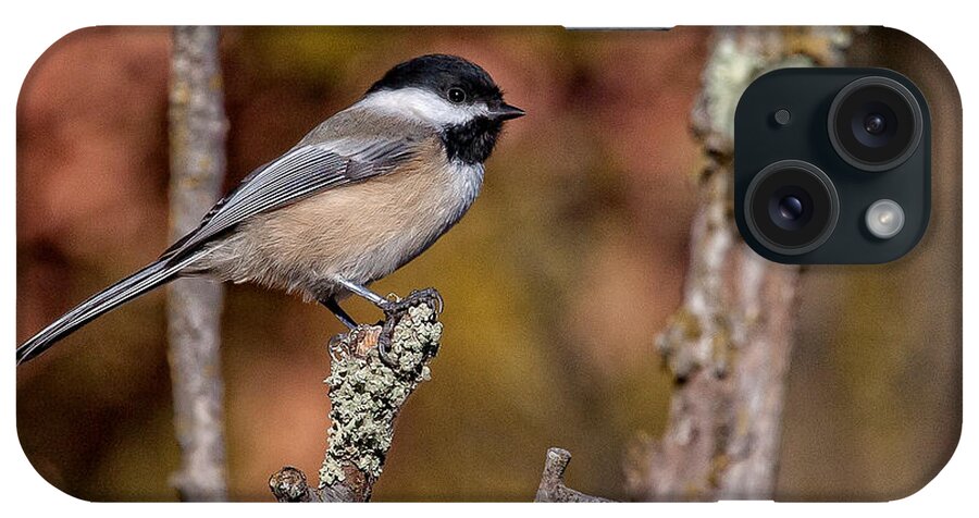 Chickadee iPhone Case featuring the photograph The Perch by Jan Killian
