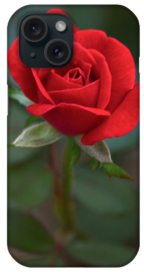 Flower iPhone Case featuring the photograph The Perfect Rose by Parker Cunningham