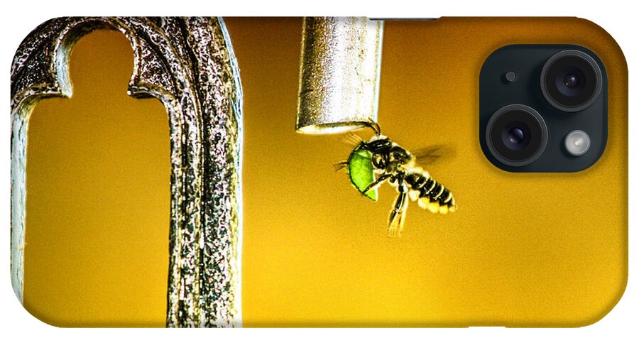Bee iPhone Case featuring the photograph The Place To Bee by Juli Ellen