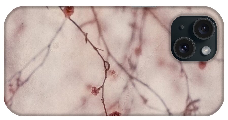 Elder Catkins iPhone Case featuring the photograph The Purr Of Autumn by Priska Wettstein