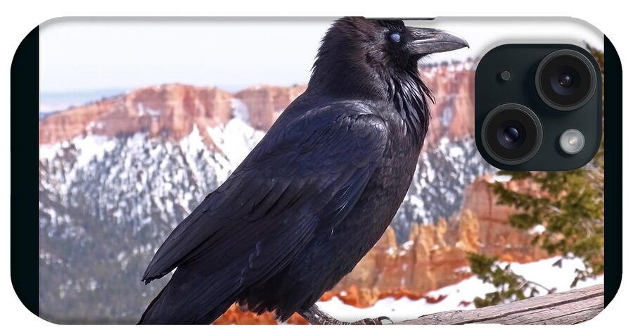 Raven iPhone Case featuring the photograph The Raven by Rona Black