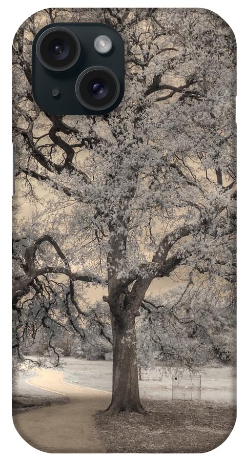 Oak Tree iPhone Case featuring the photograph The Road Less Traveled by Jane Linders