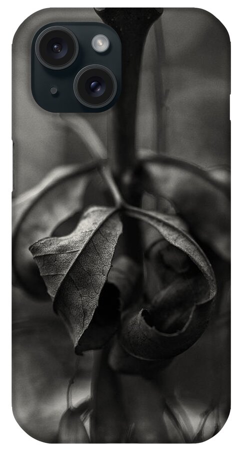 Nature iPhone Case featuring the photograph The Rolled Leaf by Andreas Levi
