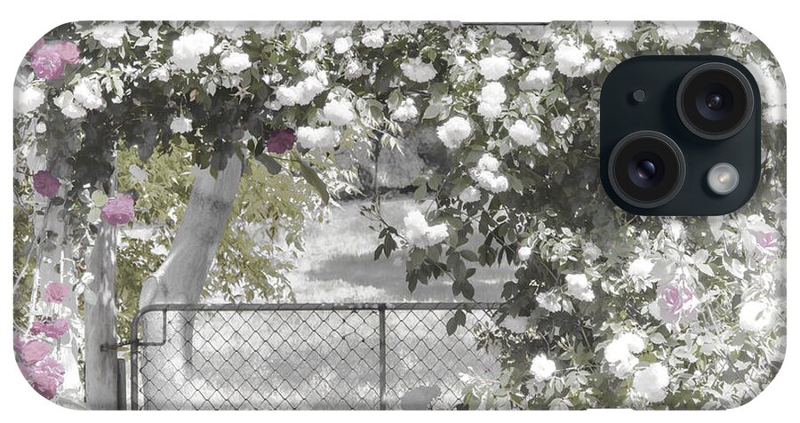 Flowers iPhone Case featuring the photograph The Rose Arbor by Elaine Teague