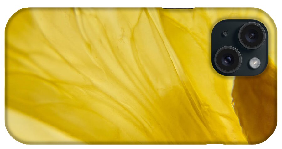 Lemon iPhone Case featuring the photograph The Seed by Cheryl Baxter