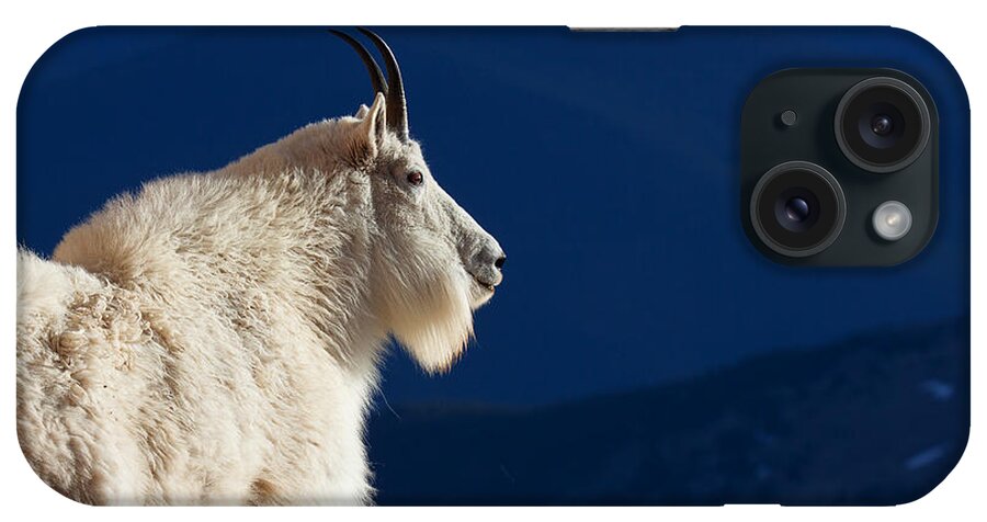 Mountain Goats iPhone Case featuring the photograph The Seer by Jim Garrison