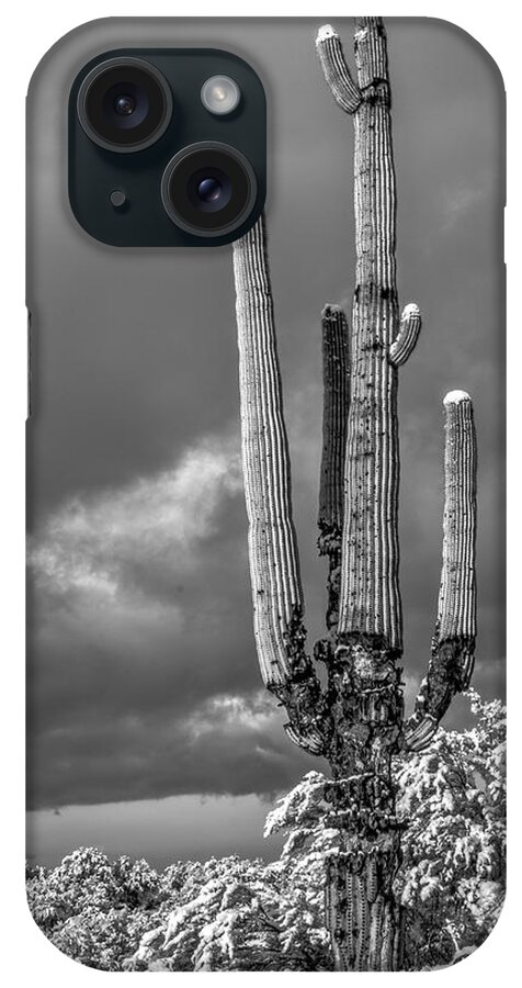American Southwest iPhone Case featuring the photograph The Sentinel by James Capo