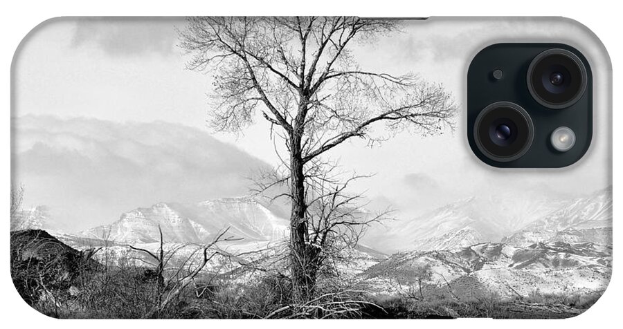 Tree iPhone Case featuring the photograph The Stark Tree in Black and White by Lisa Holland-Gillem