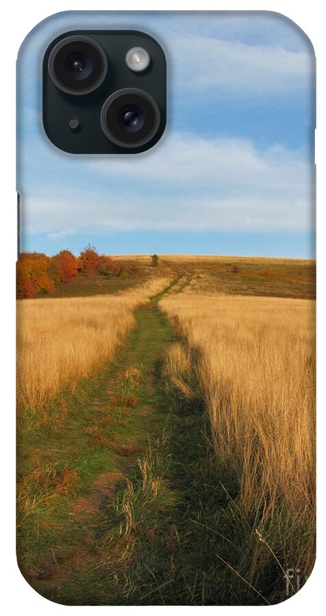 Max Patch iPhone Case featuring the photograph The Trail by Anita Adams
