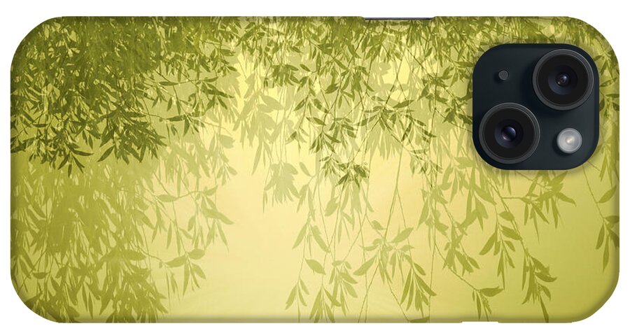 Trees iPhone Case featuring the photograph The Trees First Light by Holly Kempe