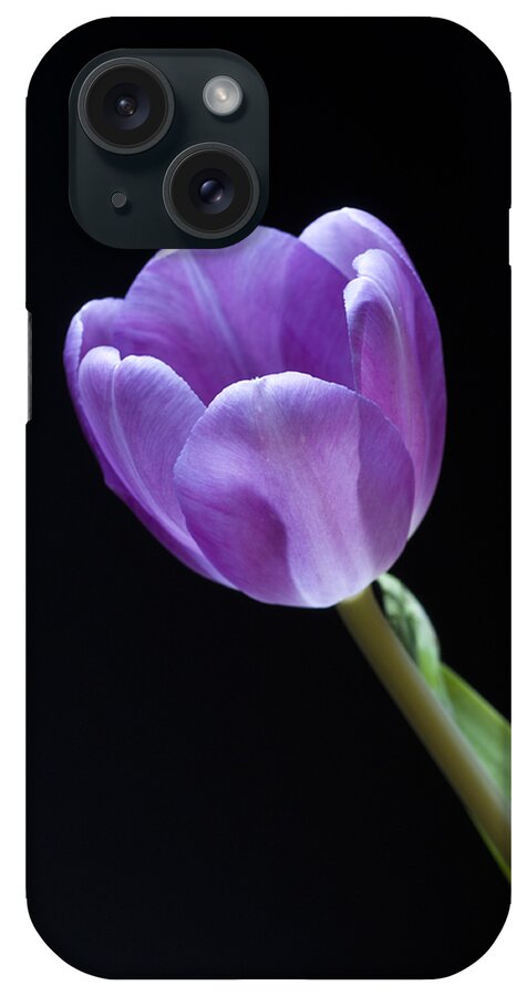 Floral iPhone Case featuring the photograph The Tulip is a Courtly Queen by Christi Kraft