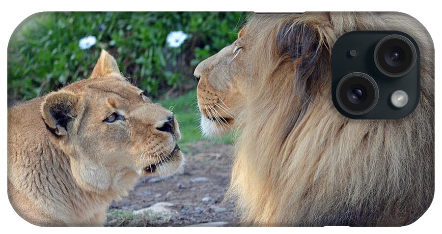 Lion iPhone Case featuring the photograph The Two Love Birds Lion and Lioness by Jim Fitzpatrick