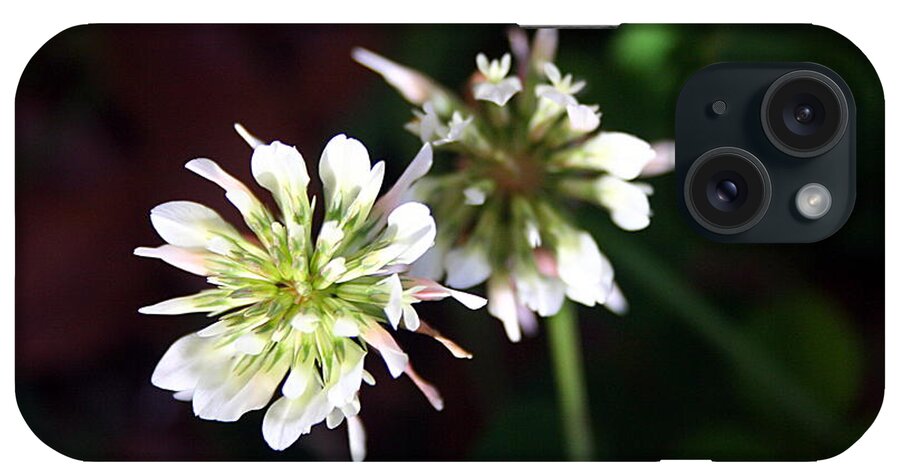 Flower Photographs iPhone Case featuring the photograph The Weeds by Ester McGuire