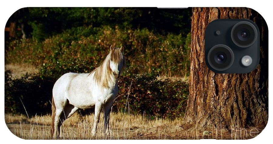 Equines iPhone Case featuring the photograph The White Horse by Julia Hassett