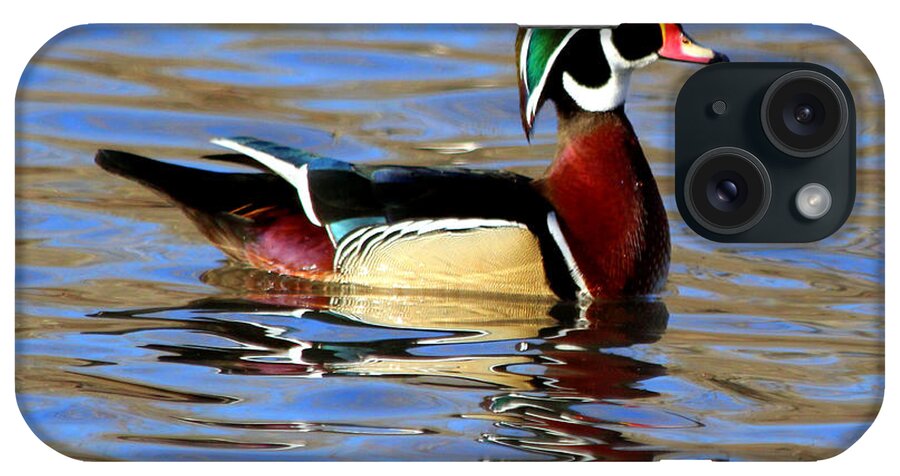 Wood Ducks iPhone Case featuring the photograph The Wood Duck by Kathy White