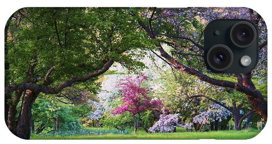 Spring iPhone Case featuring the photograph There is No Place Like Spring by Judy Via-Wolff