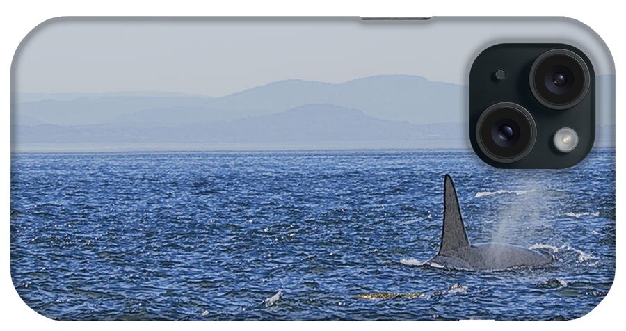 Orca Whales iPhone Case featuring the photograph There She Blows by Tom Kelly