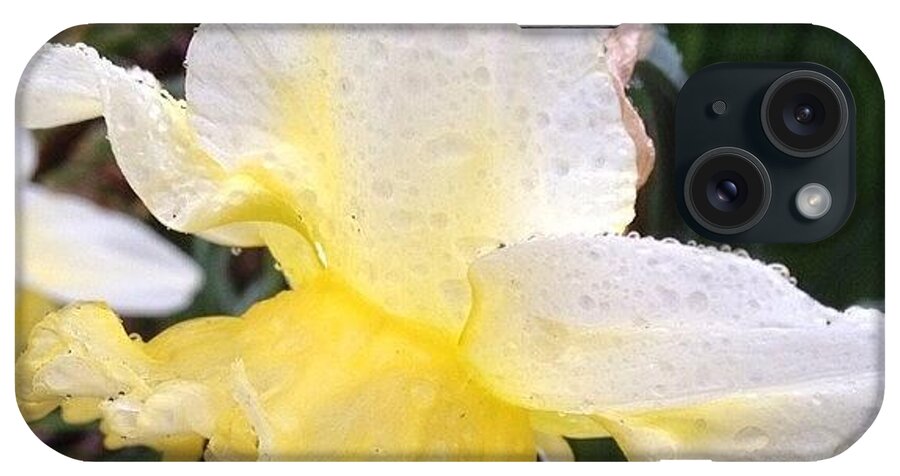 Beautiful iPhone Case featuring the photograph These Ruffled Daffodils Started by Teresa Mucha