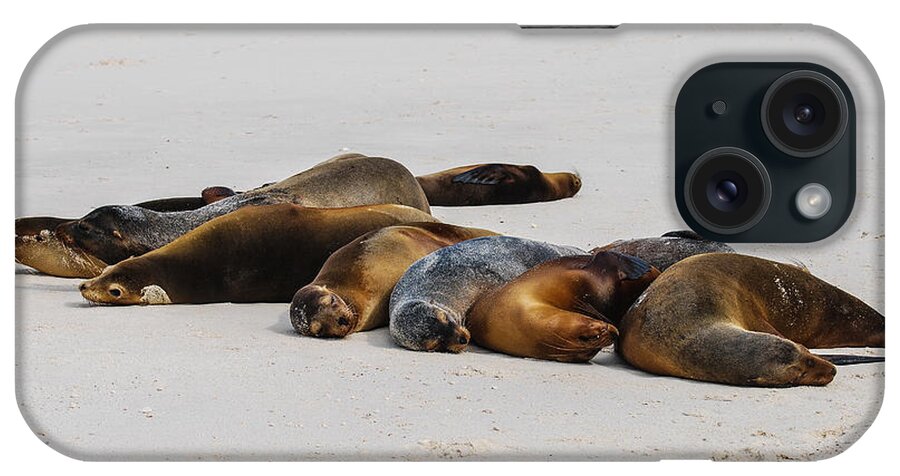 Galapagos Islands iPhone Case featuring the photograph Thigmotactics by Winnie Chrzanowski