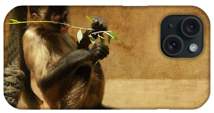 Monkey iPhone Case featuring the photograph Thinking monkey by Christine Sponchia